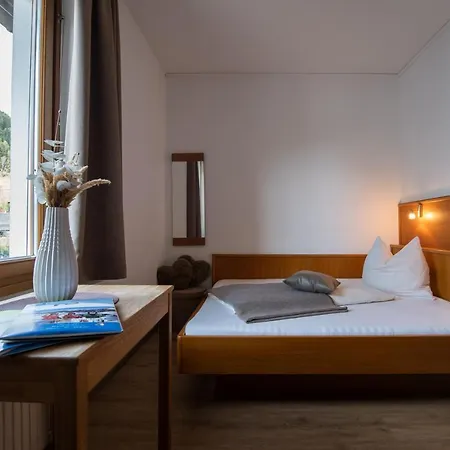 Hotel Restaurant Platzer Gmund in Karnten