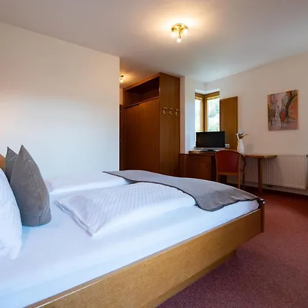 Hotel Hotel Restaurant Platzer Gmund in Karnten