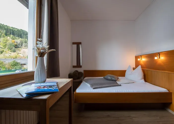 Hotel Restaurant Platzer Gmund in Karnten